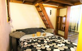 Central Cozy Apartment